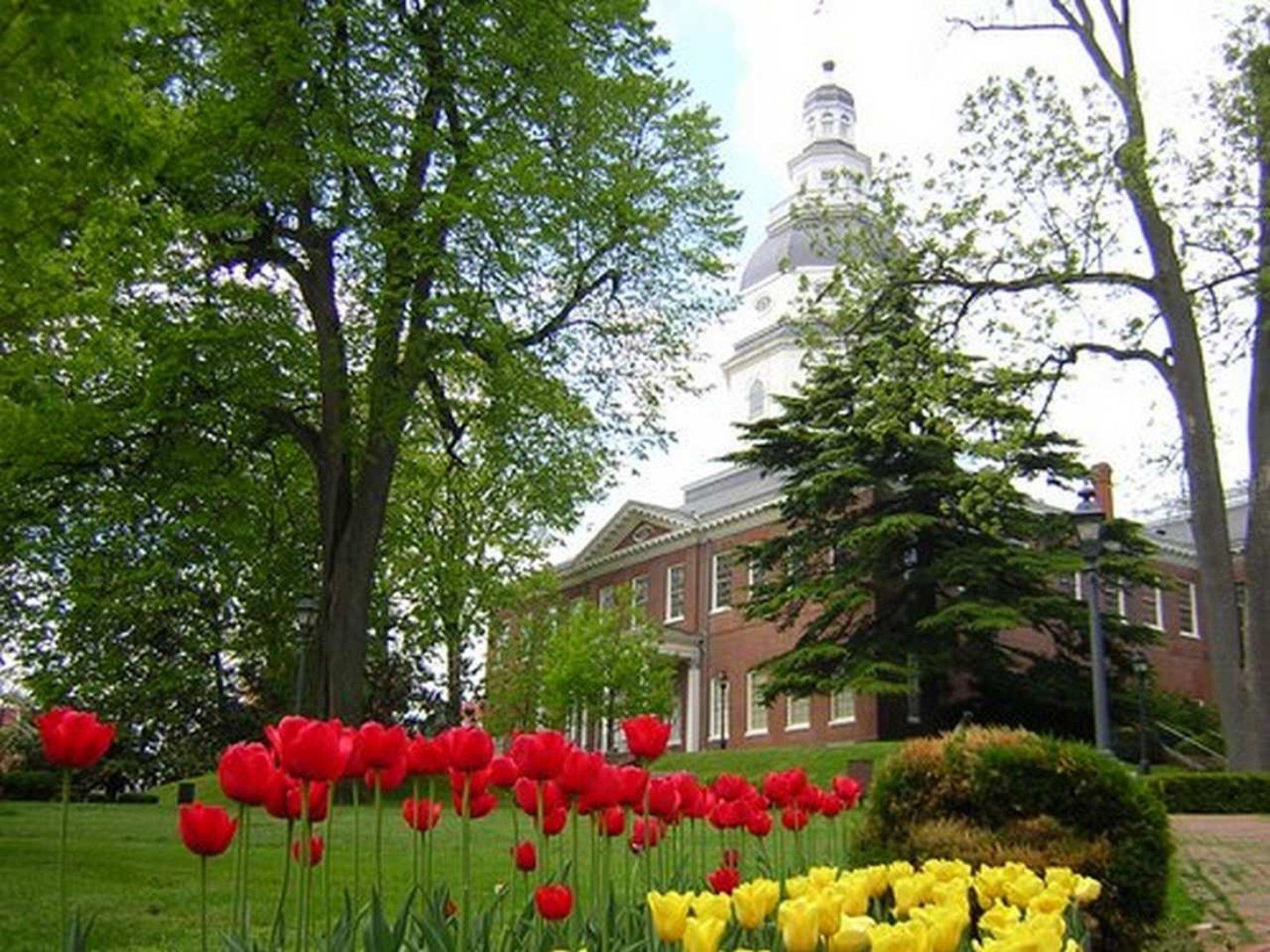 Hampton Inn & Suites Annapolis Esterno foto